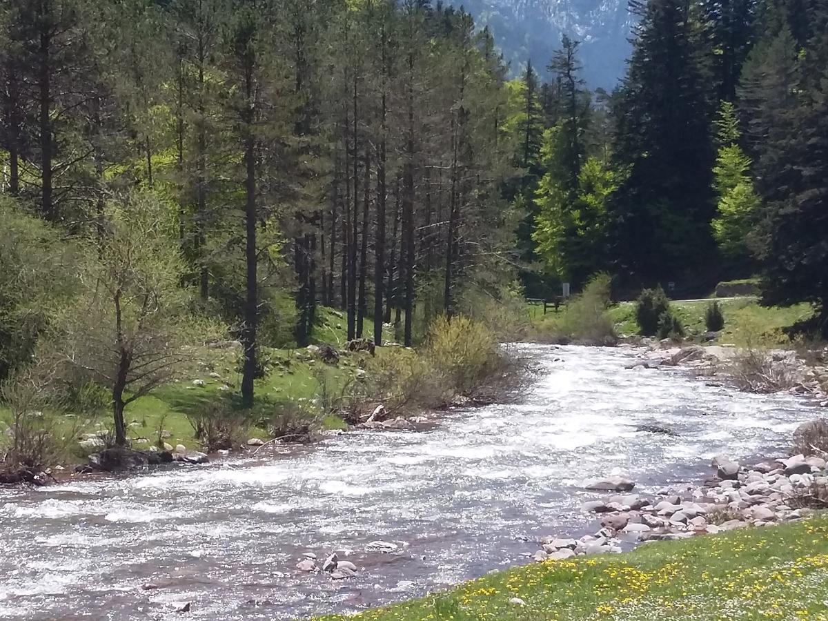 Hospederia Prepirineo Hotel Undues-Pintano Luaran gambar